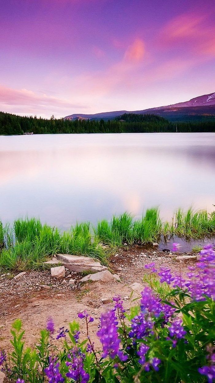 mountain landscape, images of spring, large lake, with flowers and trees around it, phone background