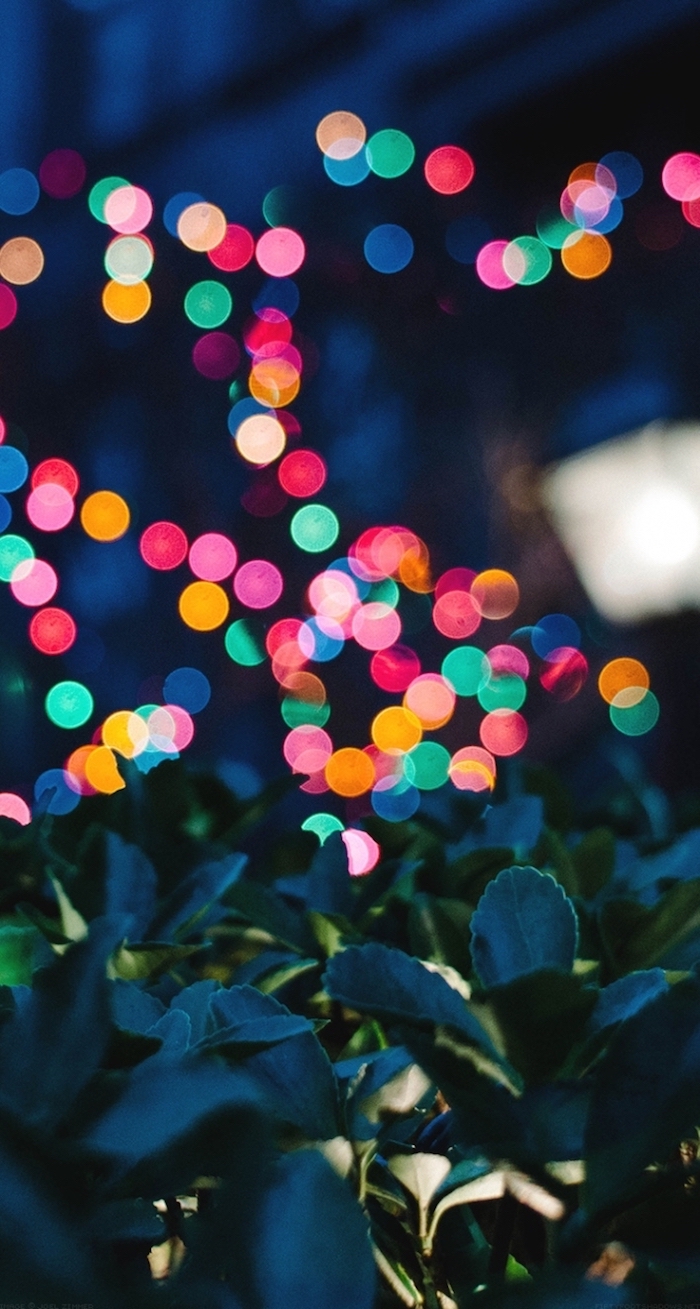 colourful blurred lights, green bush, tumblr lockscreens