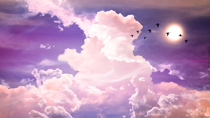 tumblr wallpaper, birds flying, pink clouds, purple skies