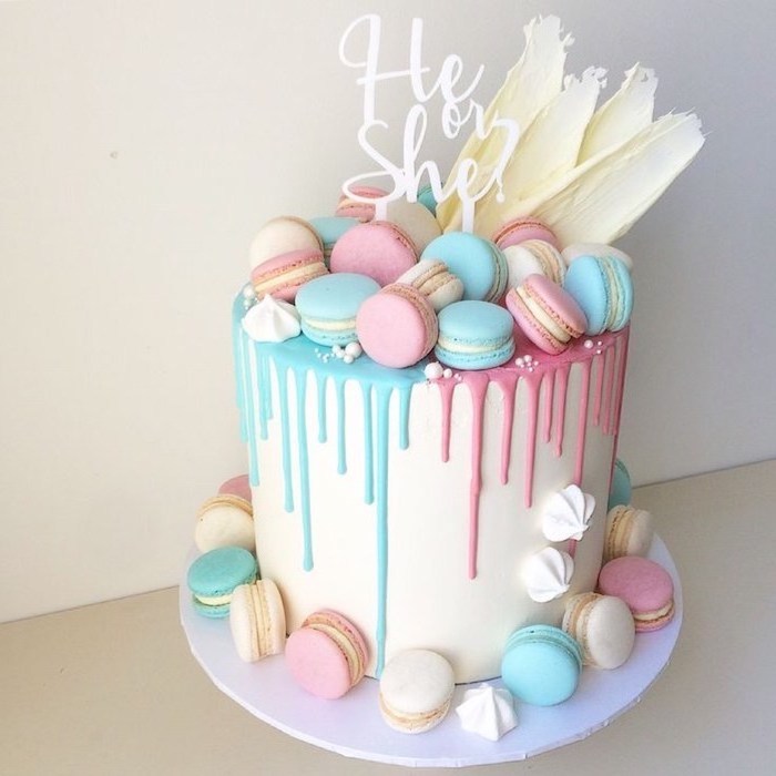he or she, cake topper, small cake, pink and blue macaroons, gender reveal gifts, pink and blue frosting