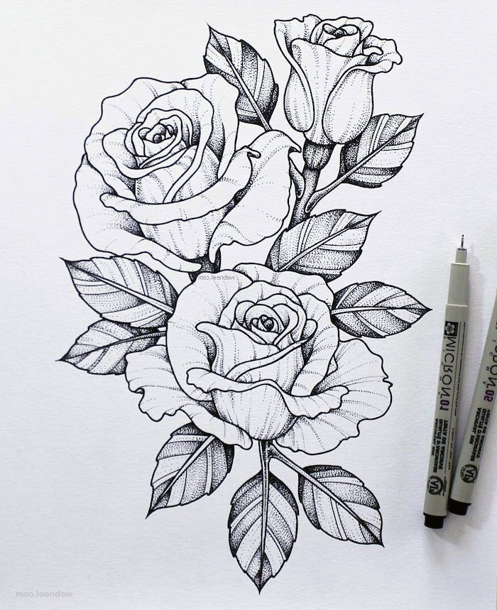three roses, white background, black pencil sketch, how to draw a rose step by step