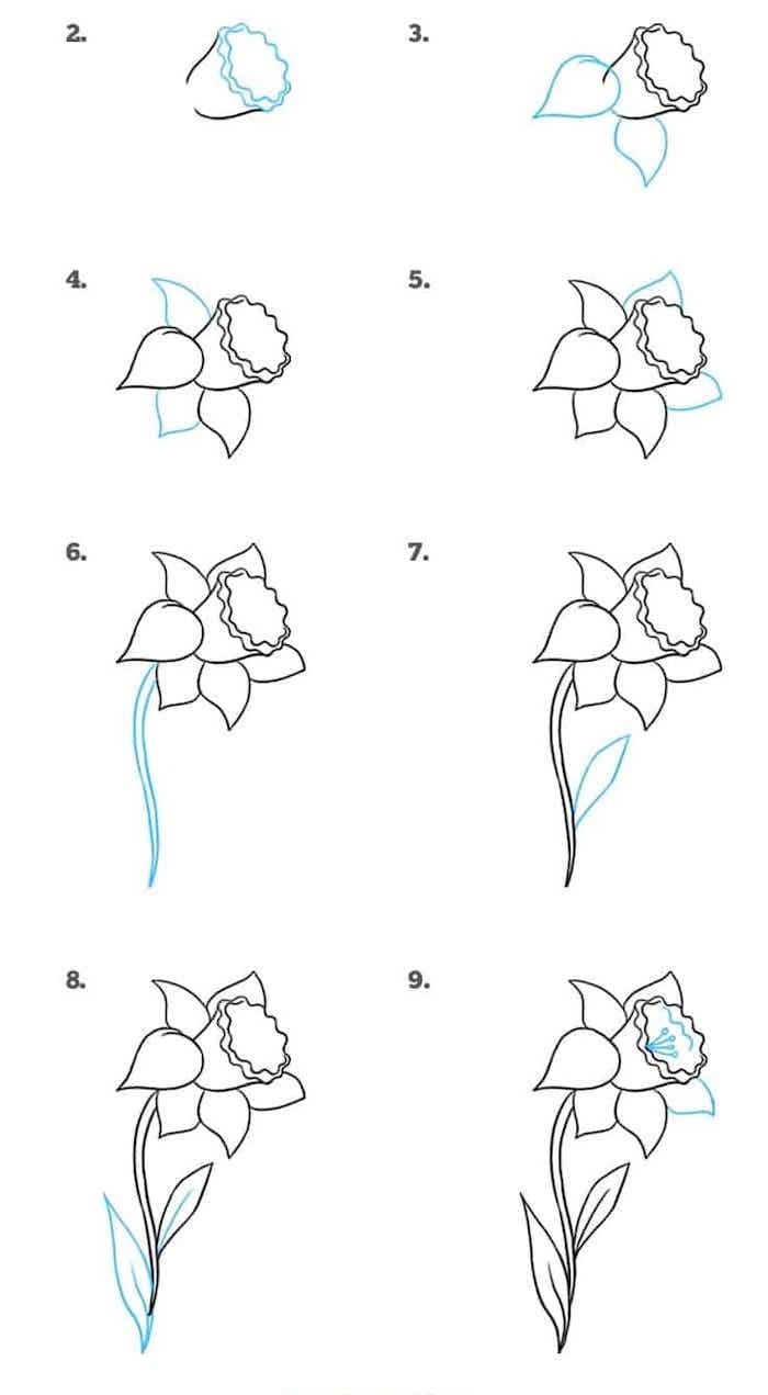 1001 Ideas And Tutorials For Easy Flowers To Draw