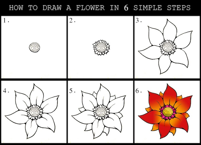 how to draw a flower in six simple steps, simple drawing ideas, step by step, diy tutorial