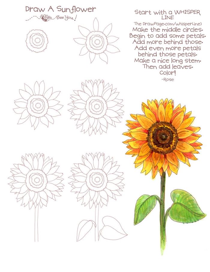 how to draw a sunflower, how to draw a flower easy, step by step, diy tutorial, white background