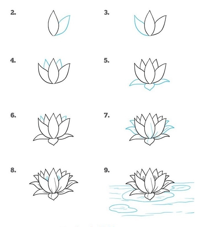 how to draw a water lily, how to draw a flower easy, step by step, diy tutorial, white background