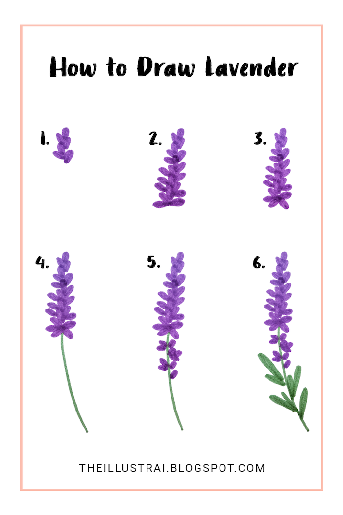 how to draw lavender, step by step, diy tutorial, how to draw a flower easy, white background