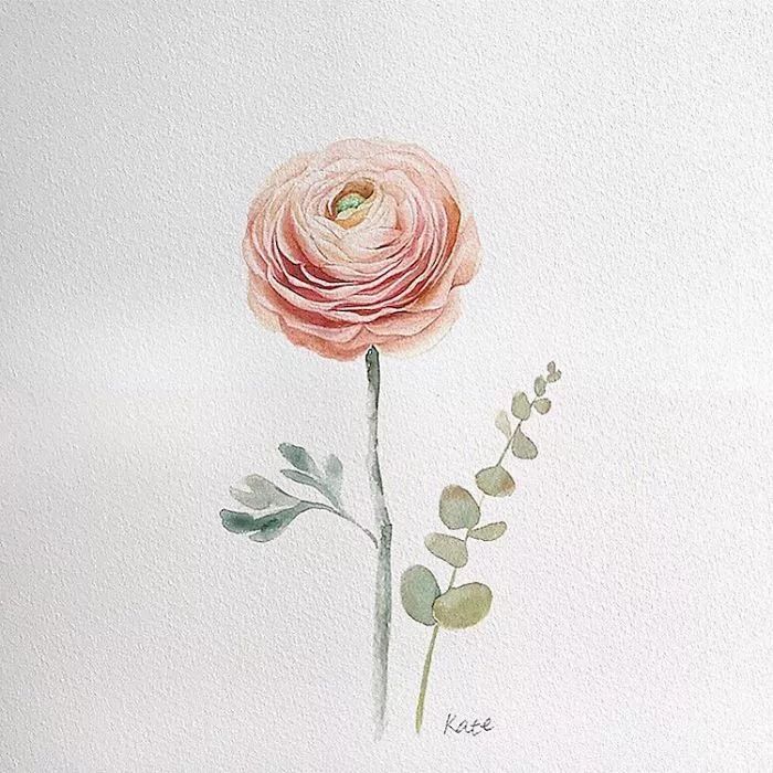 pink rose, watercolor painting, flower doodles, white background