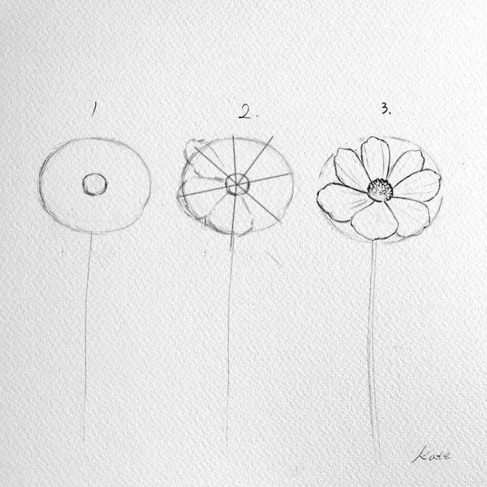 how to draw a flower, easy flowers to draw, step by step, diy tutorial, black pencil sketch, white background