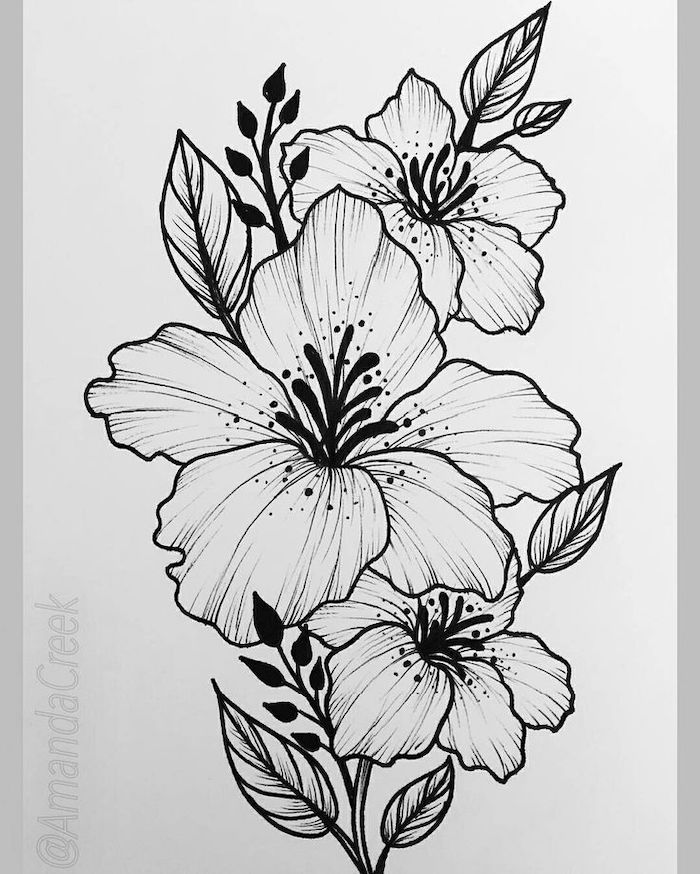 Featured image of post Simple Flower Designs For Pencil Drawing / That&#039;s the magic of colored pencil, and learning how to do it is easier than it seems.