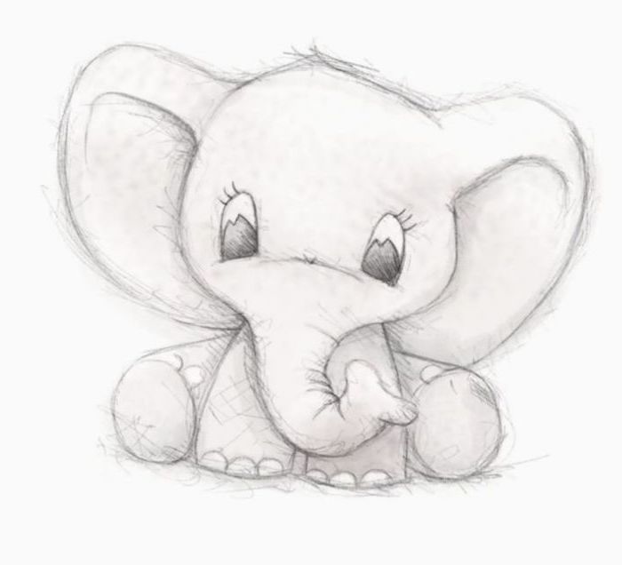 baby elephant, black and white pencil sketch, easy drawings for kids, white background