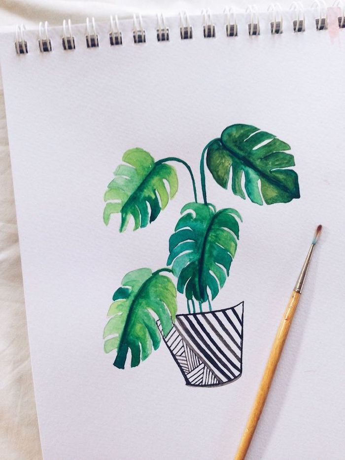 watercolor drawing, cute drawings, potted plant with large leaves, white background, colored drawing