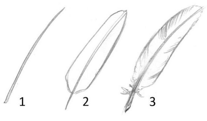 step by step diy tutorial, how to draw a feather, cute drawing ideas, black and white pencil sketch on white background