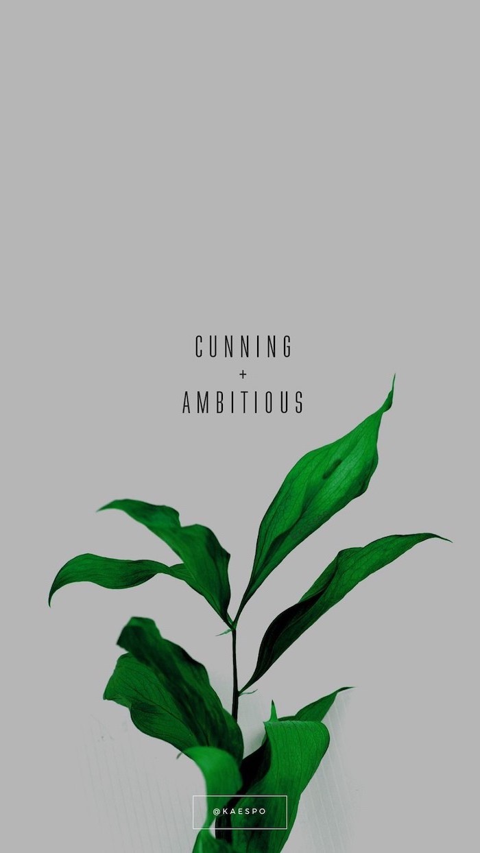 cunning and ambitious, written over grey background, pinterest wallpaper, above green plant