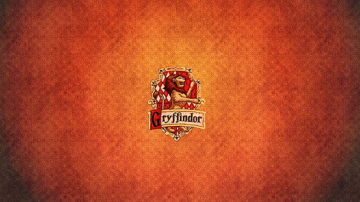 Featured image of post Harry Potter Zoom Background Gryffindor