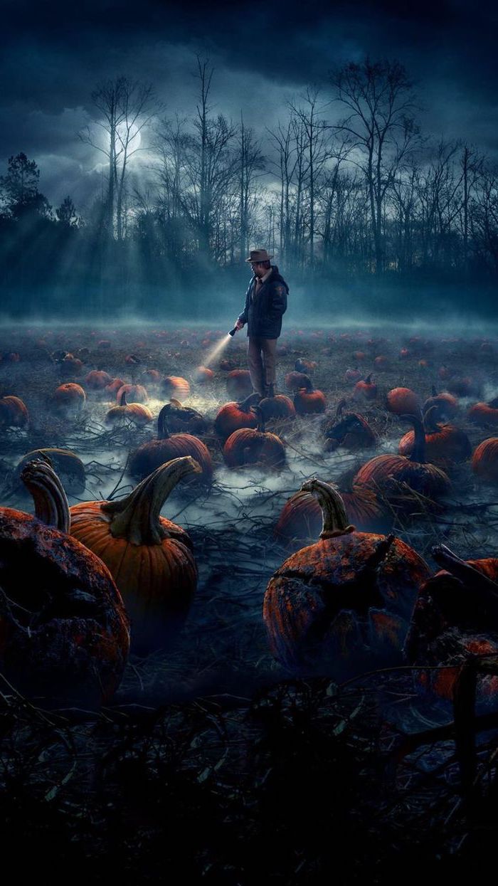 jim hopper holding a flashlight, standing in the middle of a pumpkin patch field, stranger things background, dark aesthetic